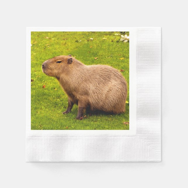 Serviette En Papier Capybara (Devant)