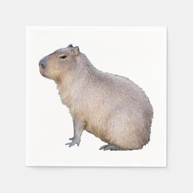 Serviette En Papier Capybara (Devant)
