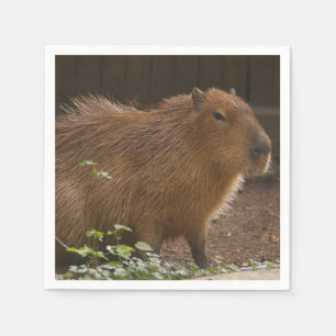 Serviette En Papier Capybara