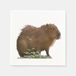 Serviette En Papier Capybara