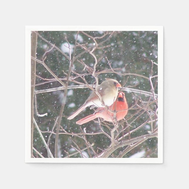 Serviette En Papier Cardinal Cocktail Napkins (Devant)