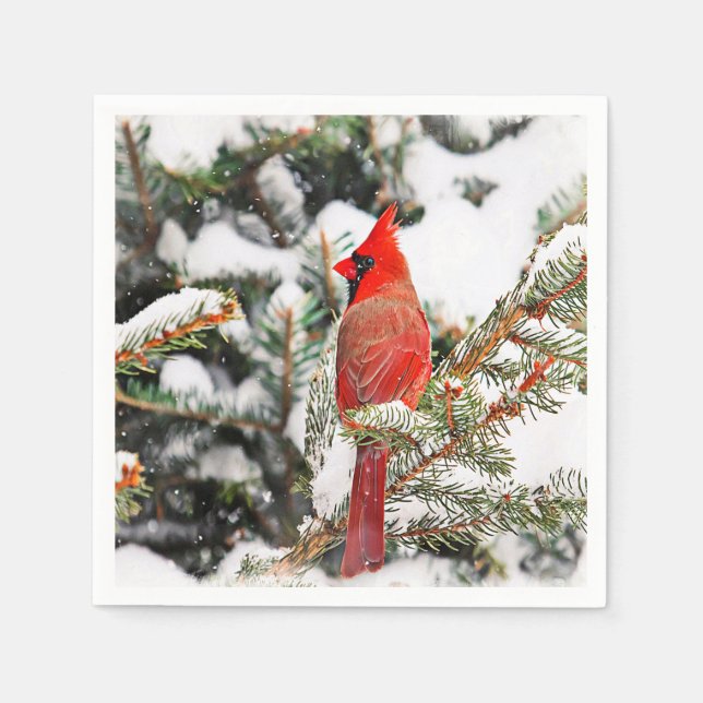 Serviette En Papier Cardinal dans un pin (Devant)