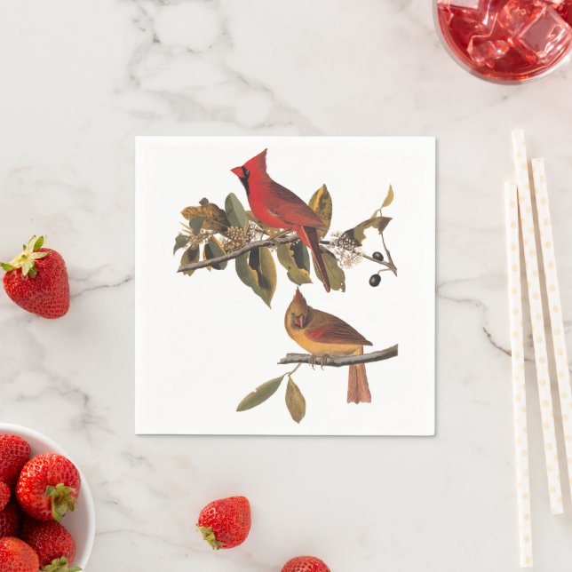 Serviette En Papier Cardinal Grosbeak Audubon Birds of America (En situation)