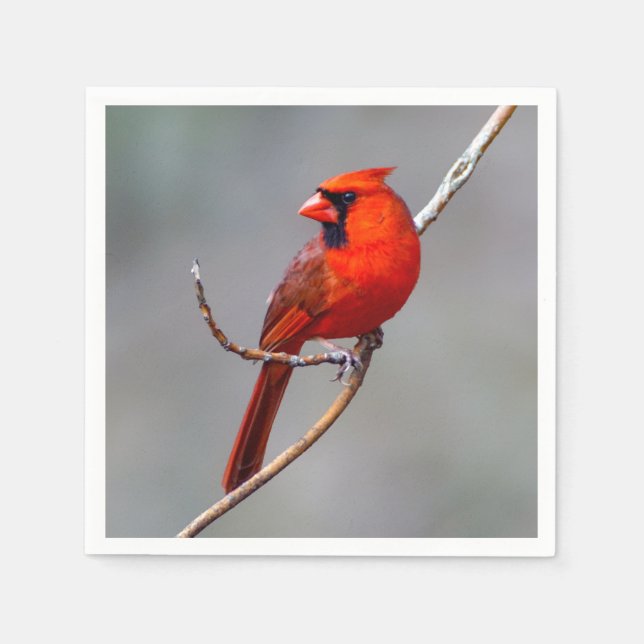 Serviette En Papier Cardinal Papier Napkin (Devant)
