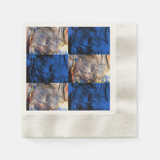 Serviette En Papier carnivest