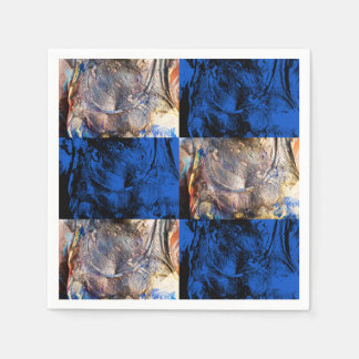 Serviette En Papier carnivest
