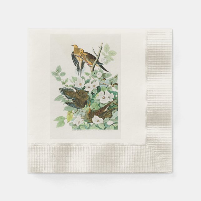 Serviette En Papier Carolina Turtle Dove John Audubon Oiseaux d'Amériq (Devant)