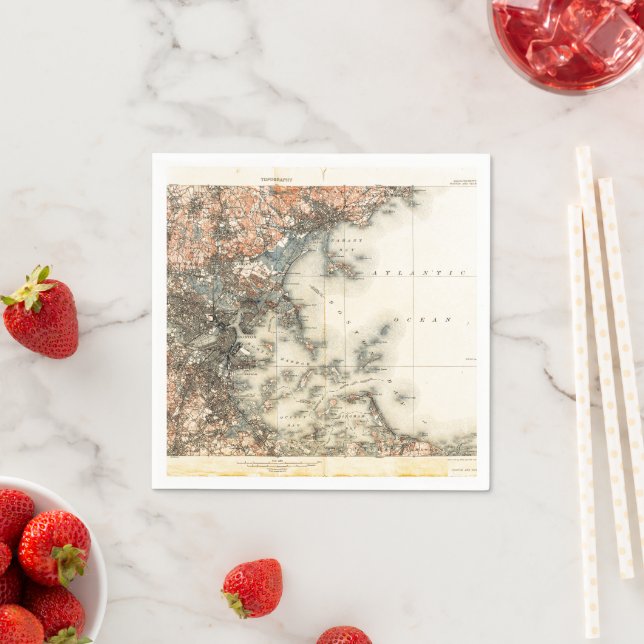 Serviette En Papier Carte vintage de Boston (En situation)