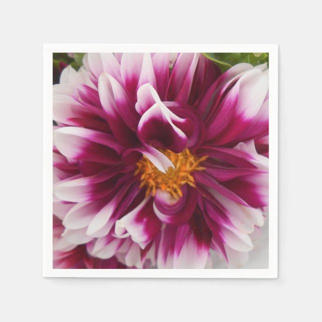 Serviette En Papier Cartheuserine (Devant)