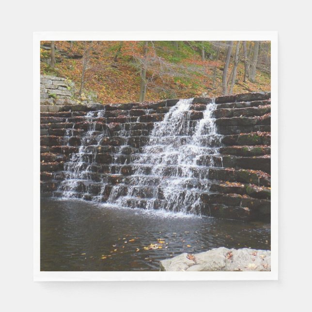Serviette En Papier Cascade à Laurel Hill State Park I (Devant)
