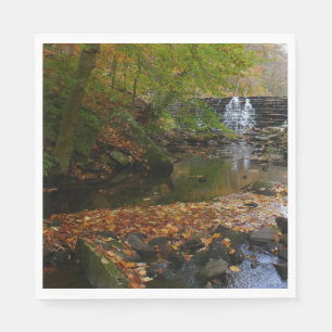 Serviette En Papier Cascade automnale et Creek Pennsylvania Nature