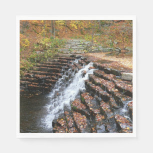 Serviette En Papier Cascade du parc d'état Laurel Hill State Park II