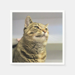 Serviette En Papier Cat