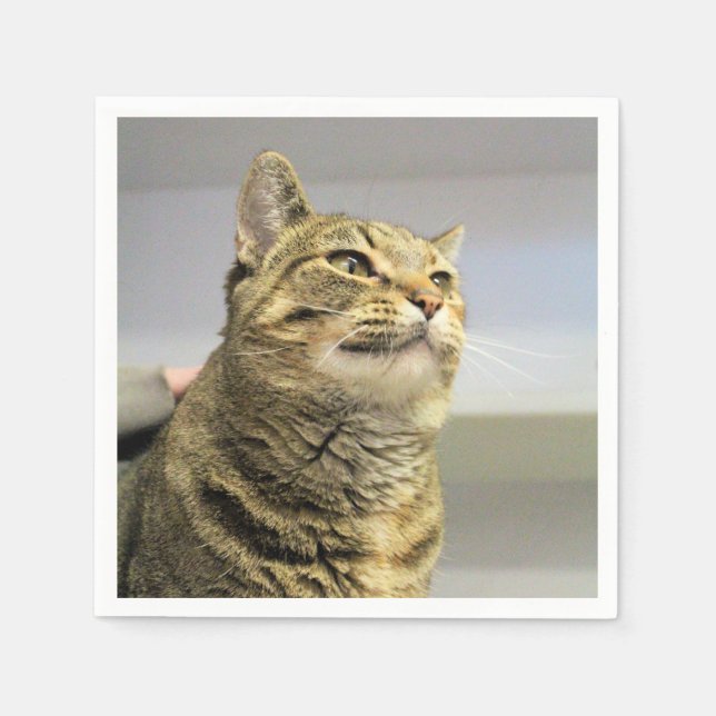 Serviette En Papier Cat (Devant)