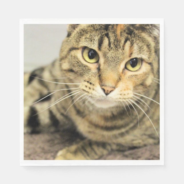 Serviette En Papier Cat (Devant)