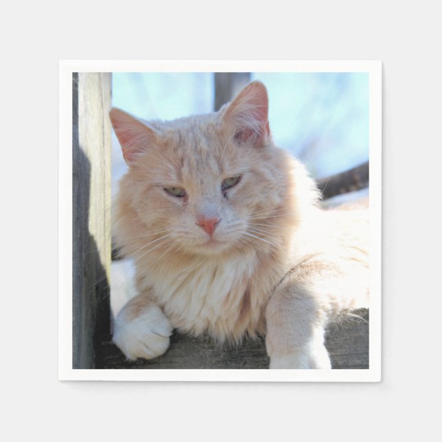 Serviette En Papier Cat (Devant)