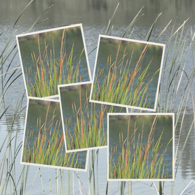 Serviette En Papier Cattails Waterfront Lac photographique (Créateur téléchargé)
