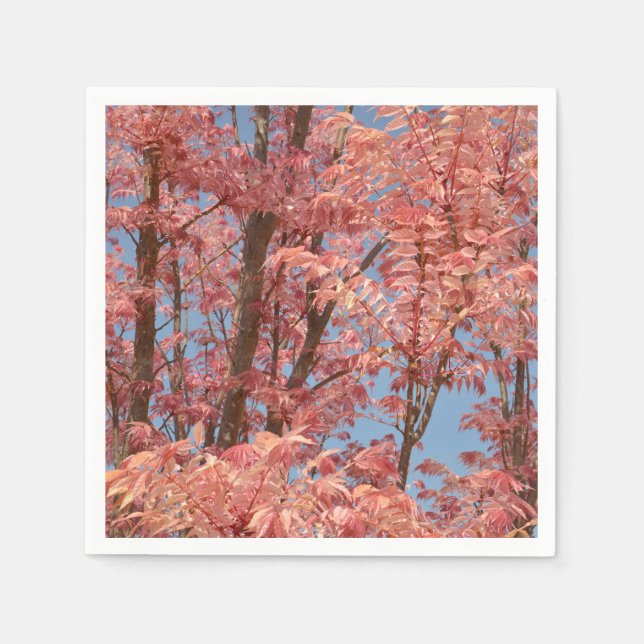 Serviette En Papier Cedrela sinensis (Devant)