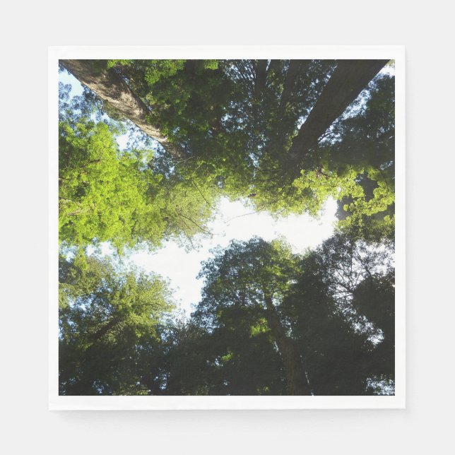 Serviette En Papier Cercle de séquoias au parc national Redwood (Devant)