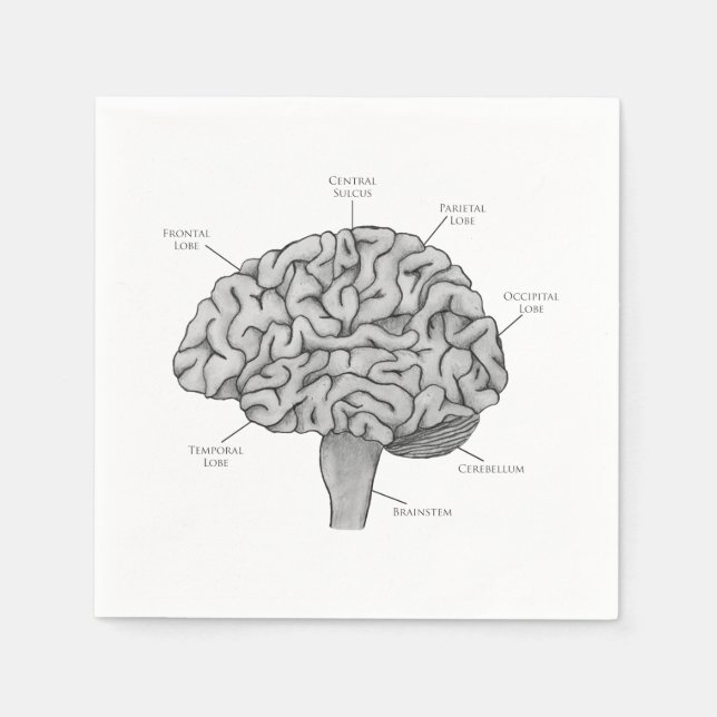 Serviette En Papier Cerveau Scientifique (Devant)