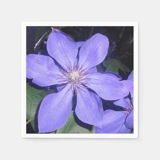 Serviette En Papier Césarine (Devant)