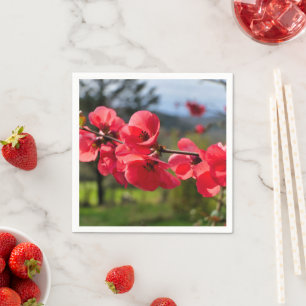 Serviette En Papier Chaenomeles speciosa Papier serviettes