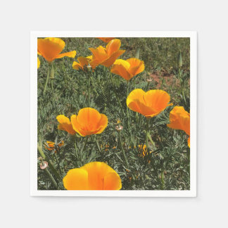 Serviette En Papier Champ de coquelicots