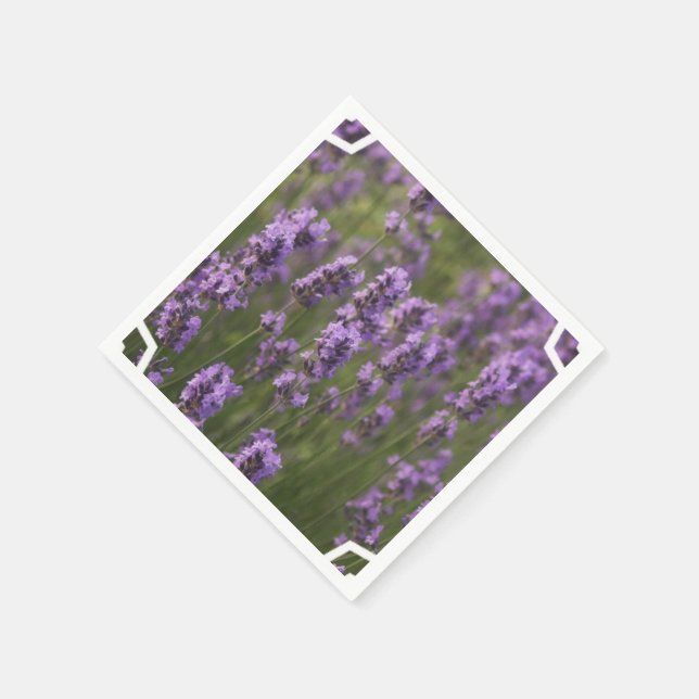 Serviette En Papier Champ de prêteur (Coin)