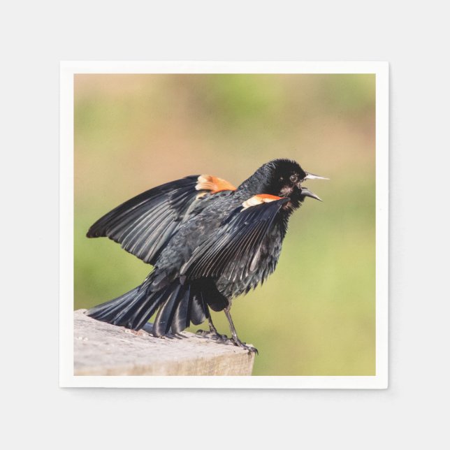 Serviette En Papier Chant de Blackbird à ailes rouges (Devant)