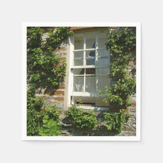 Serviette En Papier Charmant cottage anglais I (Devant)