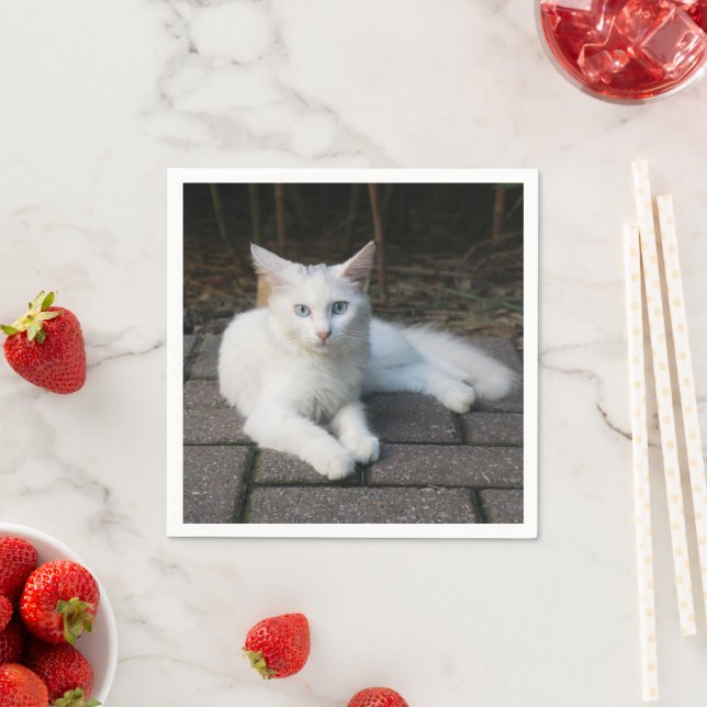 Serviette En Papier Chat blanc (En situation)
