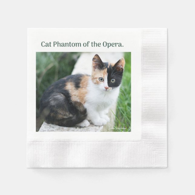 Serviette En Papier Chat Fantôme de l'Opéra (Devant)