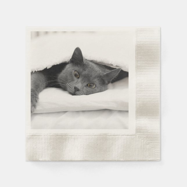 Serviette En Papier Chat gris sous couverture blanche (Devant)