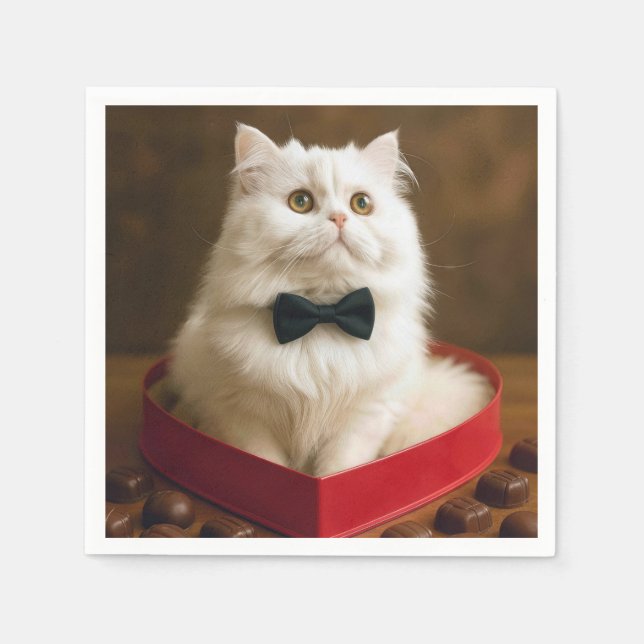 Serviette En Papier Chat Persan de la Saint-Valentin dans une boîte de (Devant)