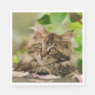 Serviette En Papier Chaton mignon de ragondin du Maine