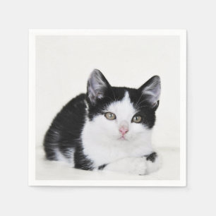 Serviette En Papier Chaton noir et blanc
