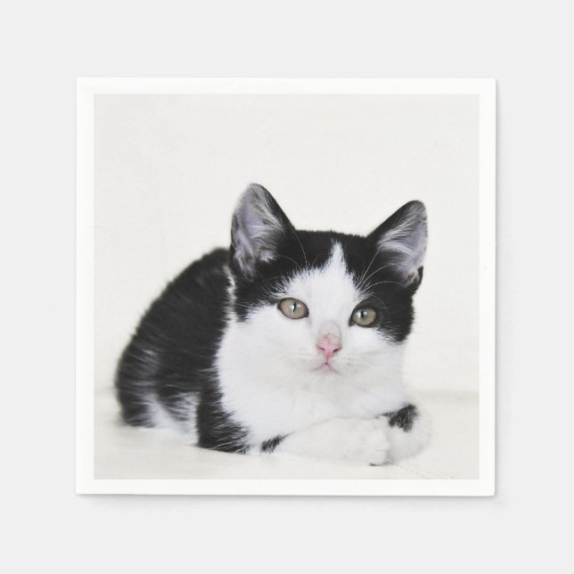 Serviette En Papier Chaton noir et blanc (Devant)