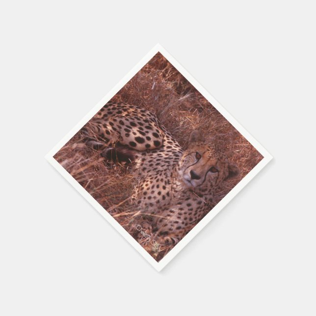 Serviette En Papier Cheetah Stare (Coin)