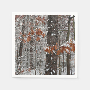 Serviette En Papier Chênes couverts de neige hiver Photographie de la 