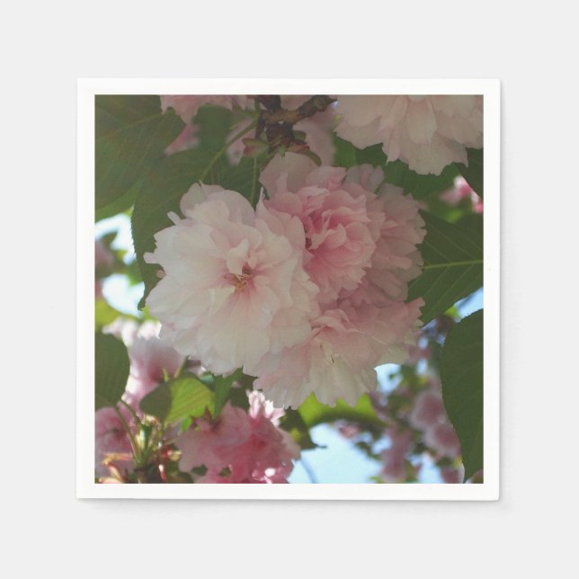 Serviette En Papier Cherry Tree I Spring Floral (Devant)