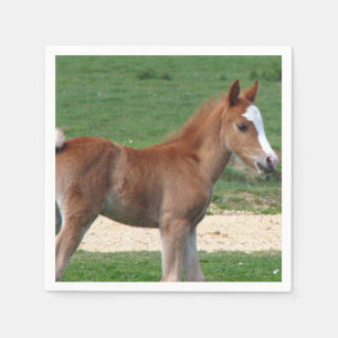 Serviette En Papier Cheval