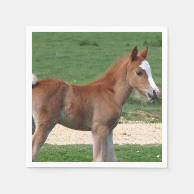Serviette En Papier Cheval (Devant)