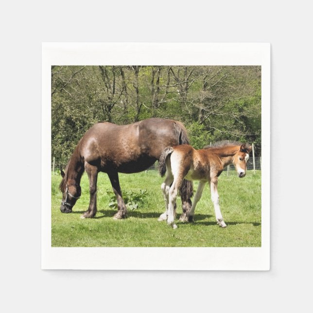 SERVIETTE EN PAPIER CHEVAUX (Devant)