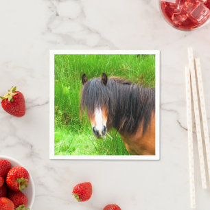 SERVIETTE EN PAPIER CHEVAUX