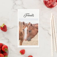 Chevaux qui se câlinent dans un pâturage