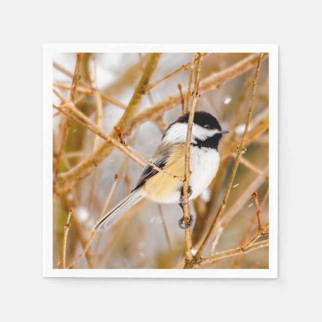 Serviette En Papier Chickadee au plafond noir - Photo originale (Devant)