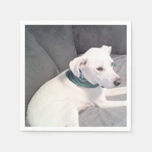 Serviette En Papier Chien blanc mignon portant une écaille verte sur u