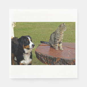 Serviette En Papier chien de montagne bernais avec chat
