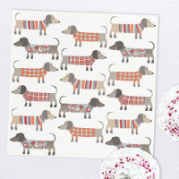 Chien de saucisse Dachshund