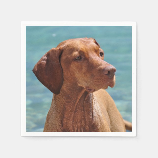 Serviette En Papier Chien Magyar Vizsla (Devant)